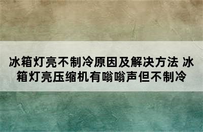 冰箱灯亮不制冷原因及解决方法 冰箱灯亮压缩机有嗡嗡声但不制冷